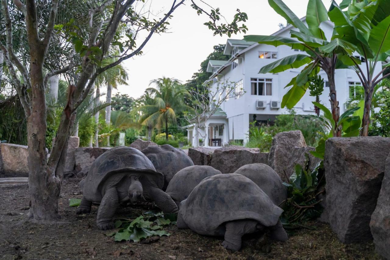 La Modestie Guest House Grand Anse  Exterior foto